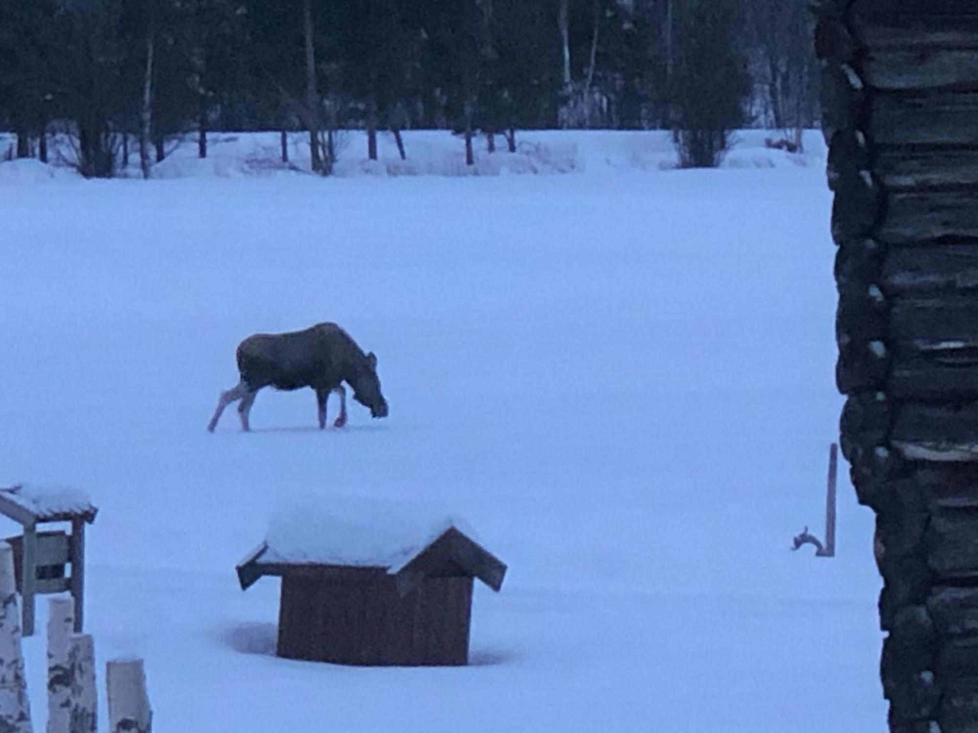 Vila Galde Uppigard Boverdalen Exteriér fotografie